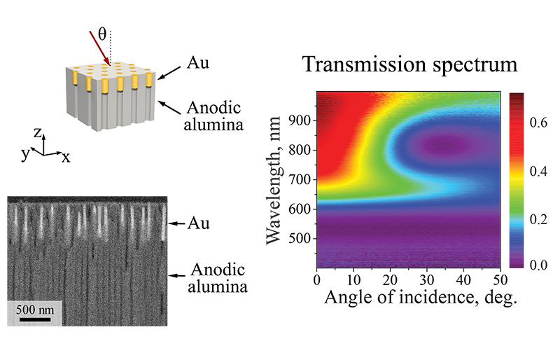 Hyperbolic metamaterials based on arrays of gold nanorods in the matrix of anodic alumina